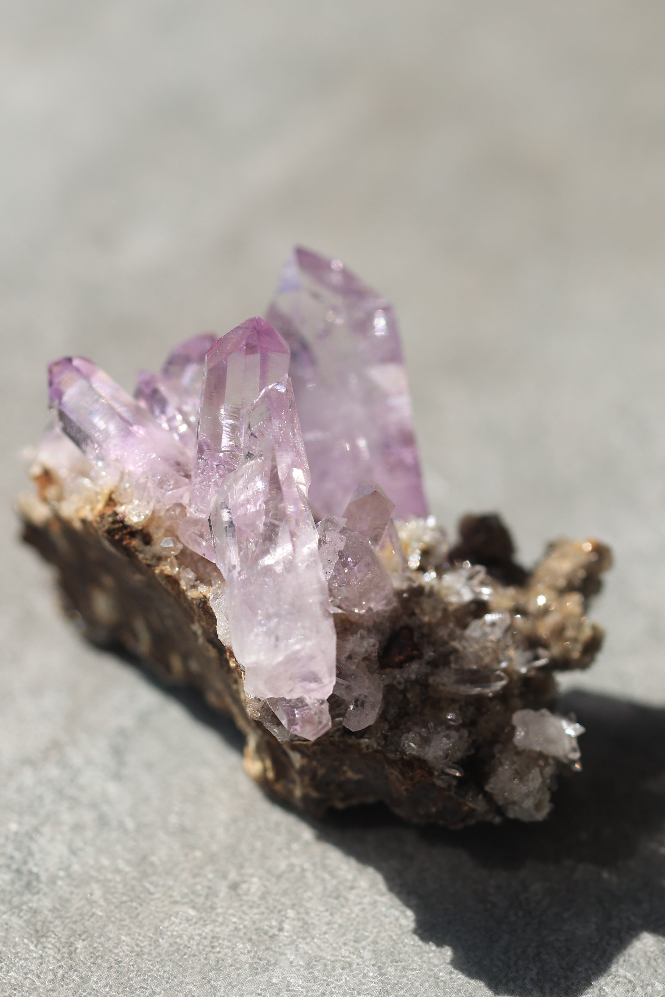 ベラクルスアメジスト「花咲く庭」メキシコ産｜天然石 原石 鉱物標本