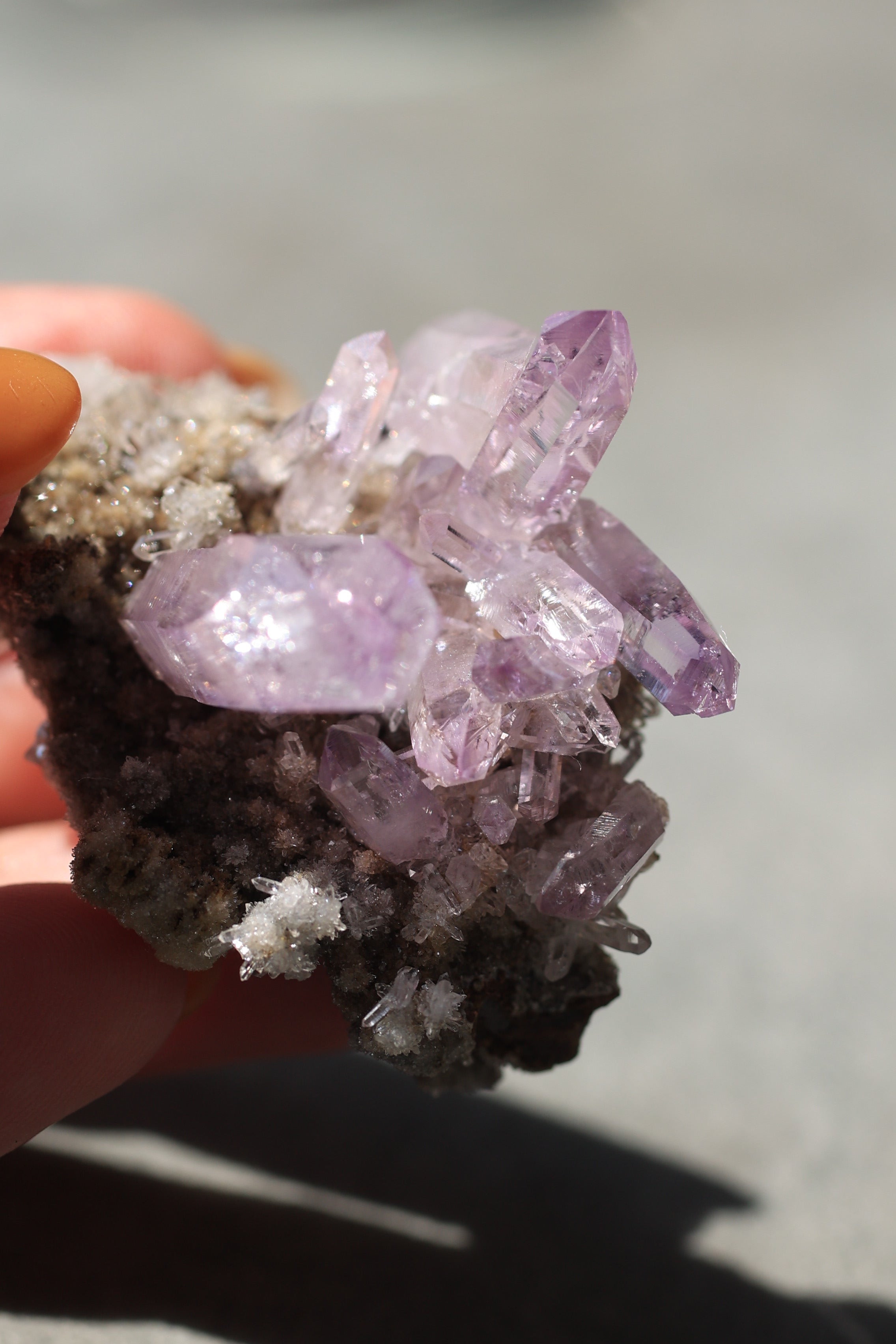 ベラクルスアメジスト「花咲く庭」メキシコ産｜天然石 原石 鉱物標本