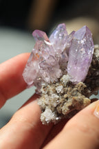 ベラクルスアメジスト「花咲く庭」メキシコ産｜天然石 原石 鉱物標本