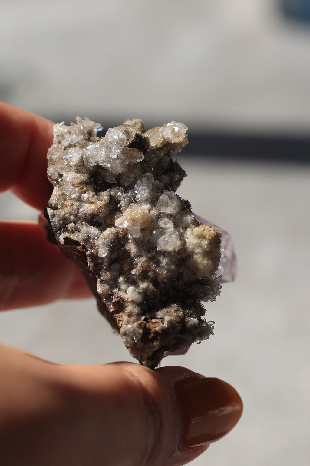 ベラクルスアメジスト「花咲く庭」メキシコ産｜天然石 原石 鉱物標本