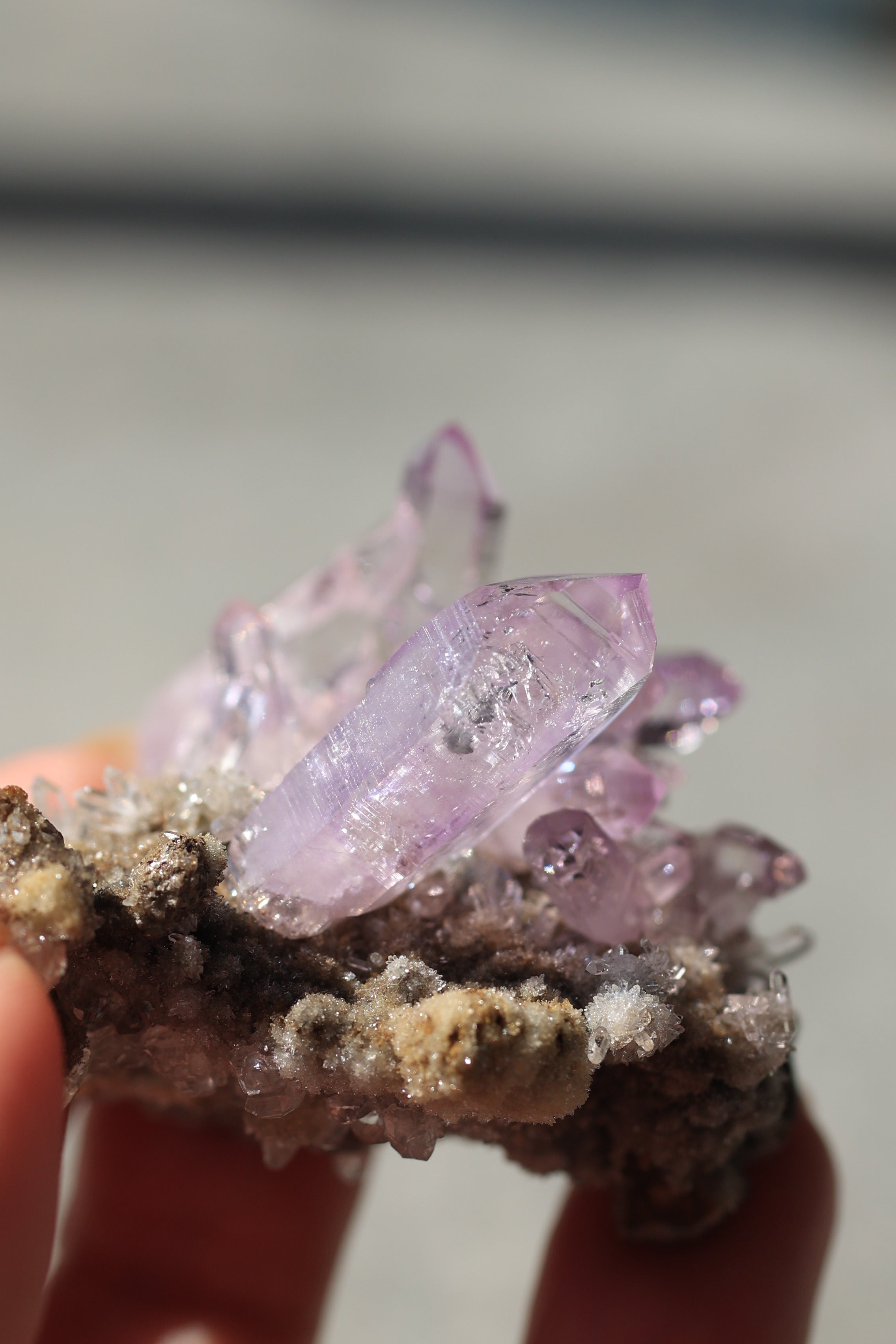 ベラクルスアメジスト「花咲く庭」メキシコ産｜天然石 原石 鉱物標本