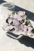 カルールアメジスト｜母岩付き「静かな花園」インド・カルール産｜天然石 原石 鉱物標本