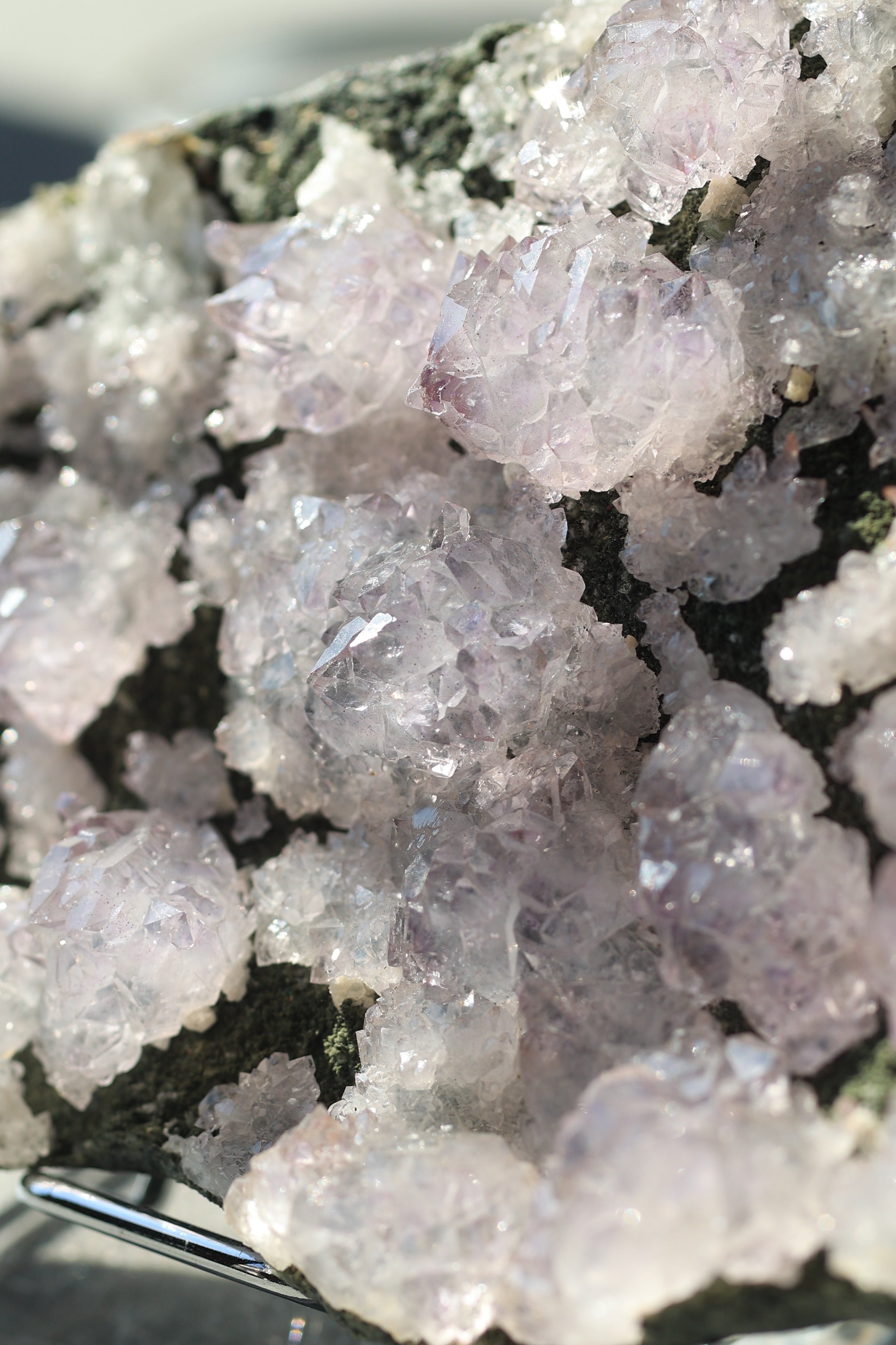 カルールアメジスト｜母岩付き「静かな花園」インド・カルール産｜天然石 原石 鉱物標本