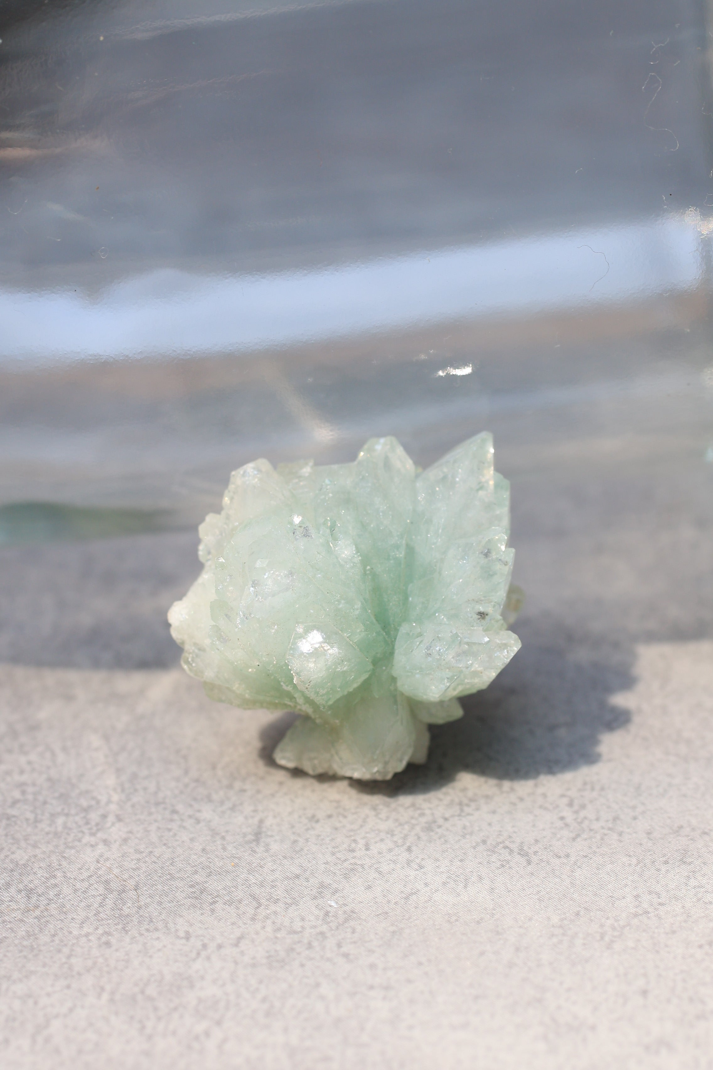 グリーンアポフィライト「春の新芽」インド産｜天然石 原石 鉱物標本