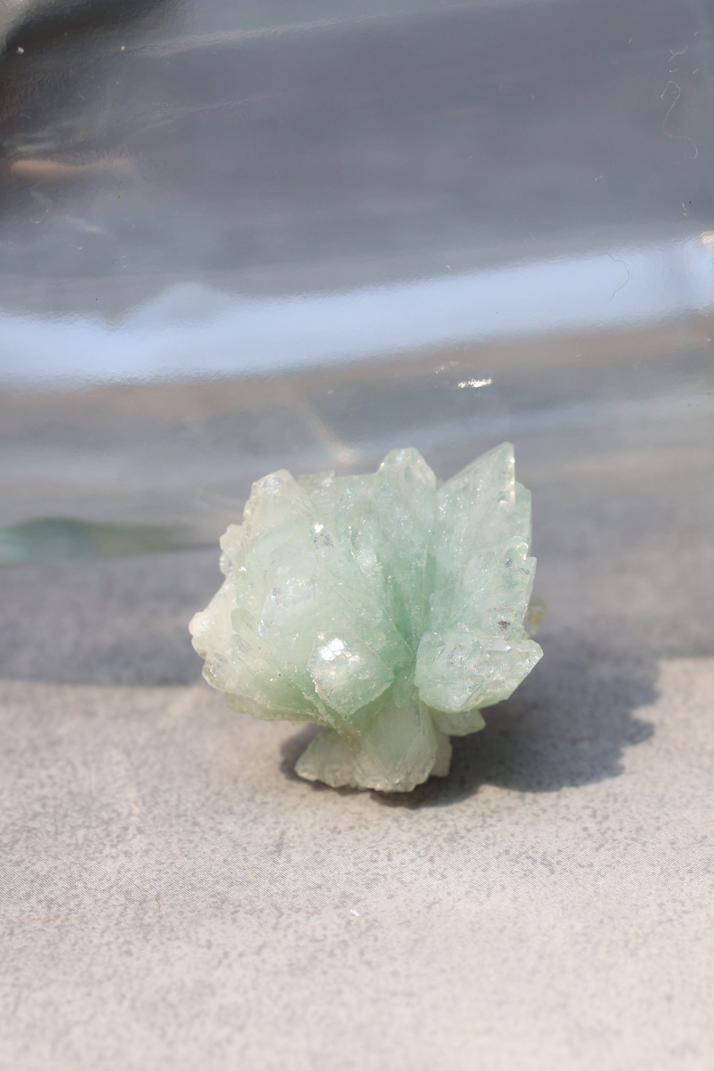 グリーンアポフィライト「春の新芽」インド産｜天然石 原石 鉱物標本