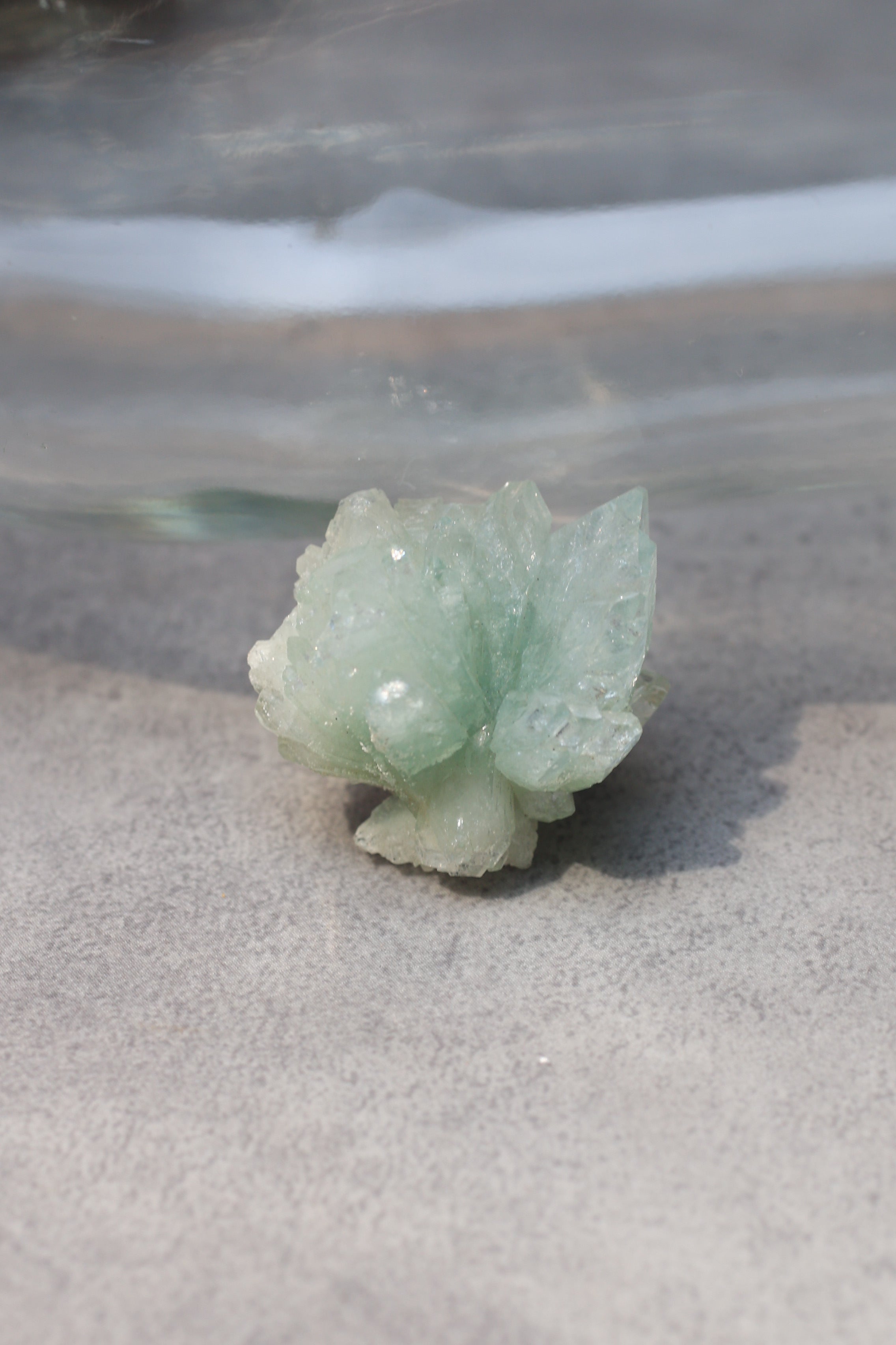 グリーンアポフィライト「春の新芽」インド産｜天然石 原石 鉱物標本