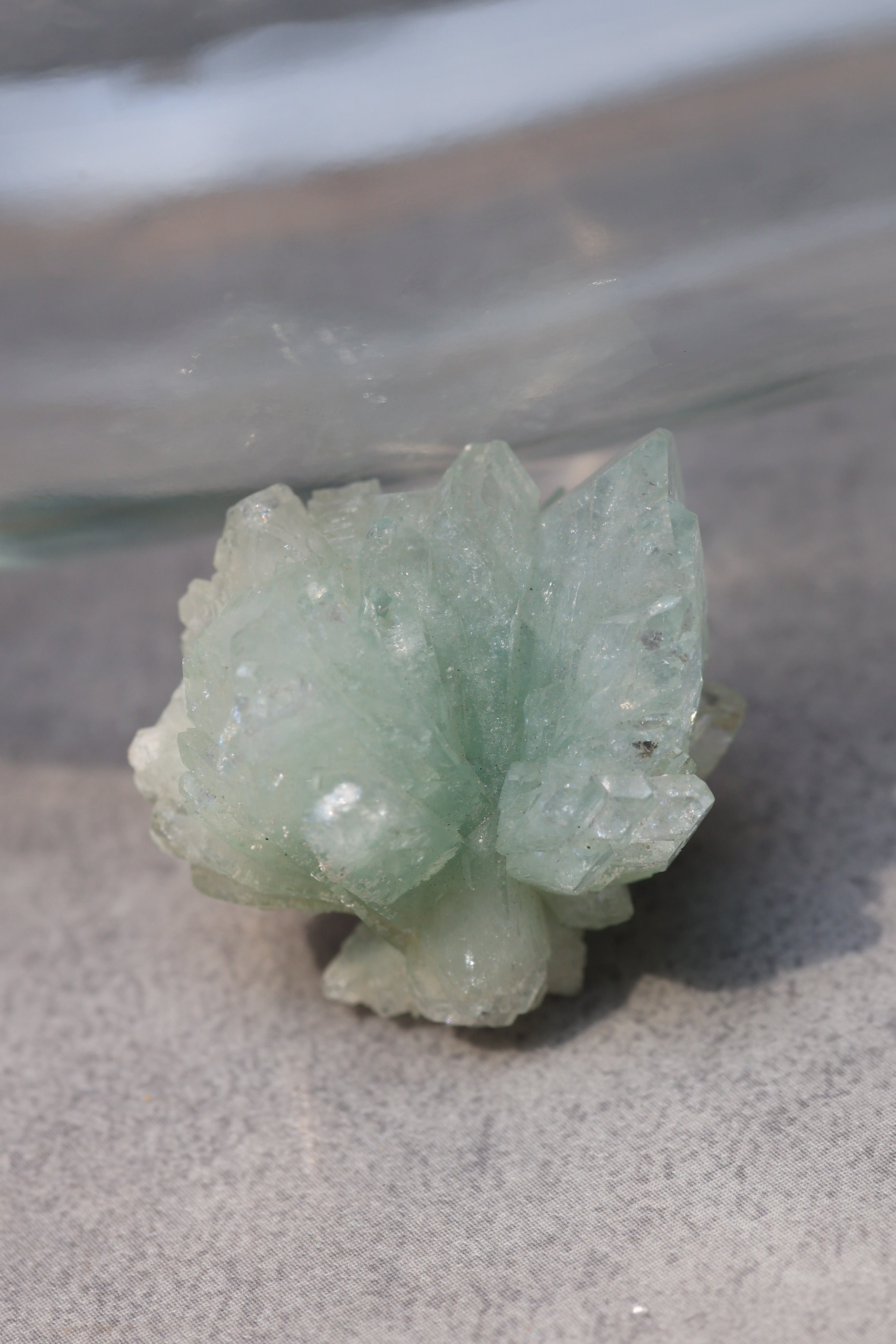グリーンアポフィライト「春の新芽」インド産｜天然石 原石 鉱物標本