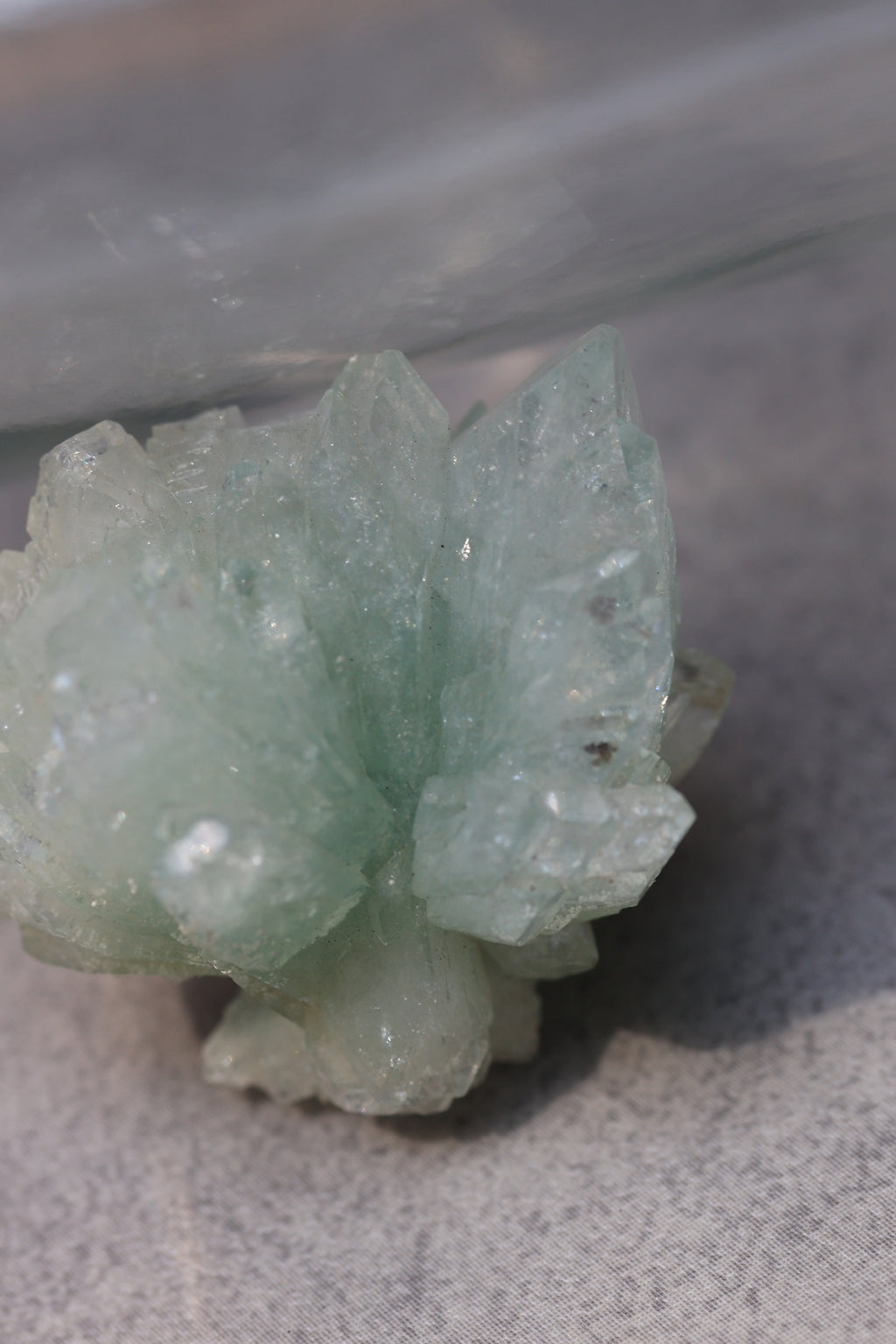 グリーンアポフィライト「春の新芽」インド産｜天然石 原石 鉱物標本
