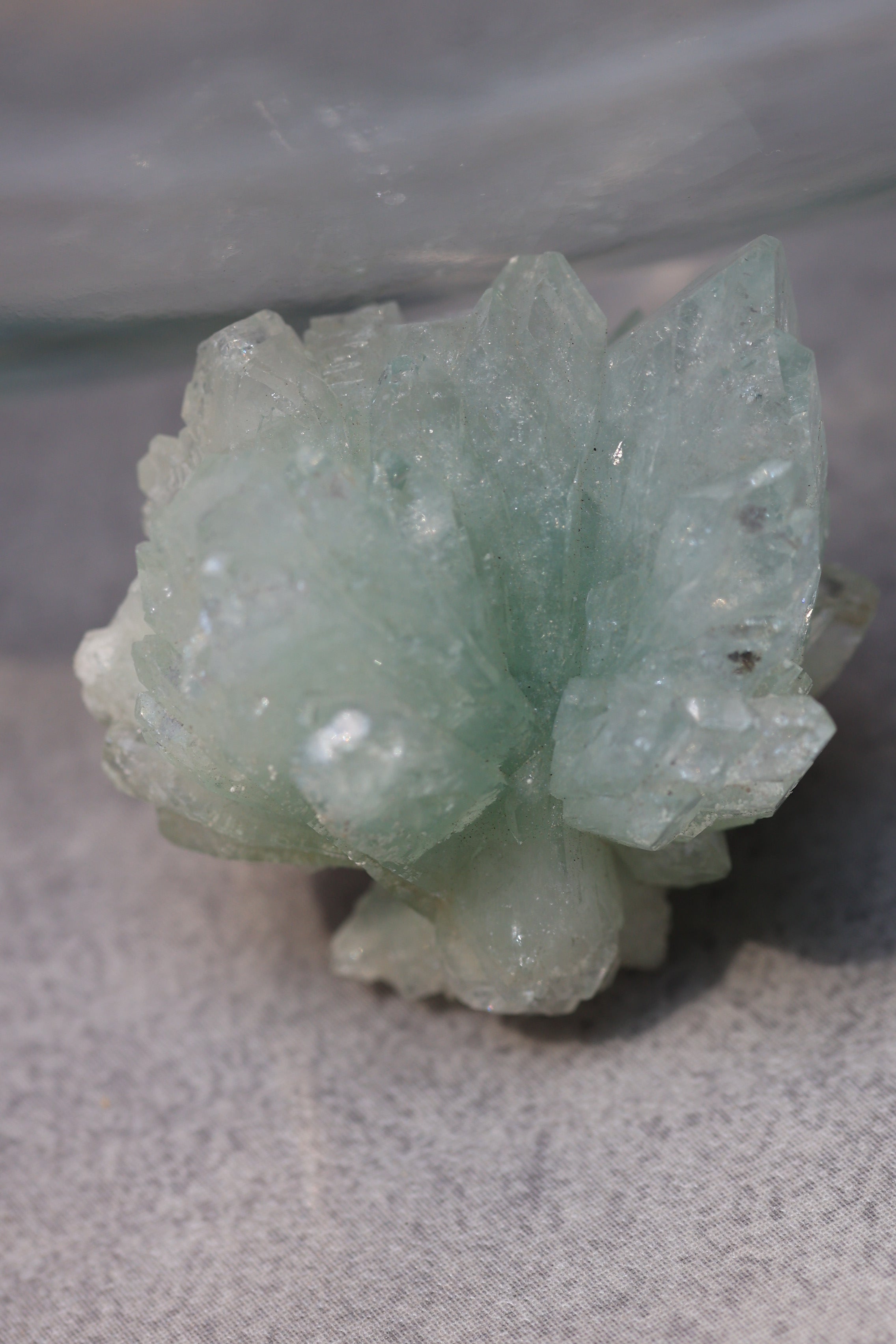 グリーンアポフィライト「春の新芽」インド産｜天然石 原石 鉱物標本