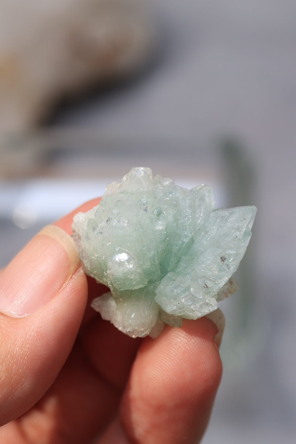 グリーンアポフィライト「春の新芽」インド産｜天然石 原石 鉱物標本