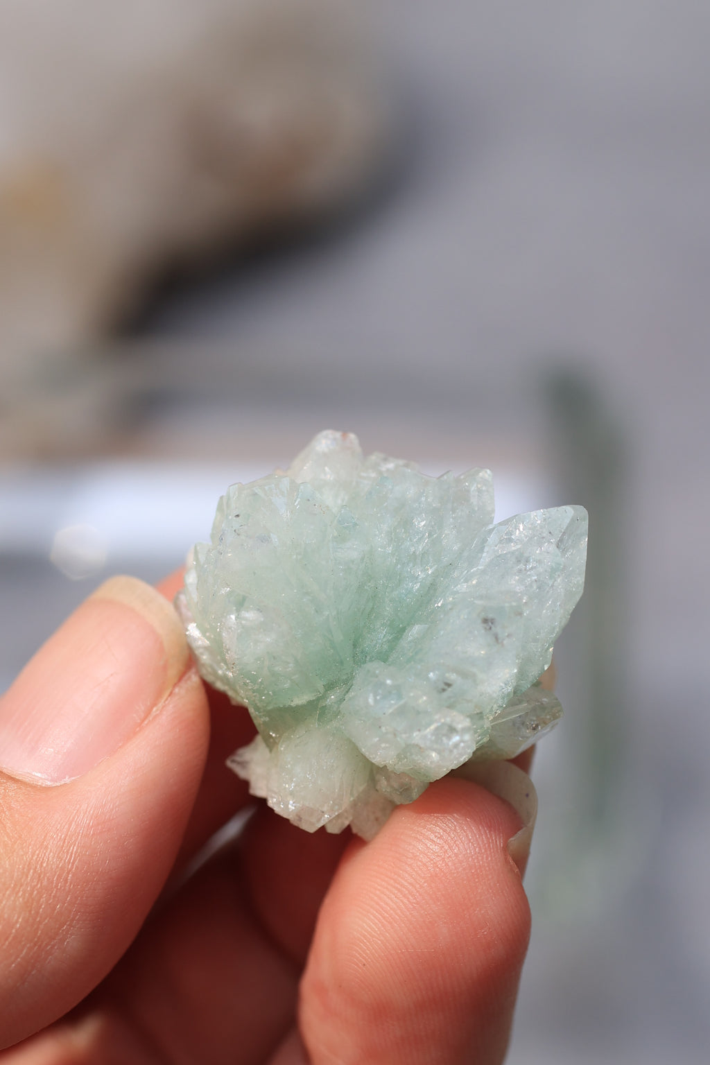 グリーンアポフィライト「春の新芽」インド産｜天然石 原石 鉱物標本