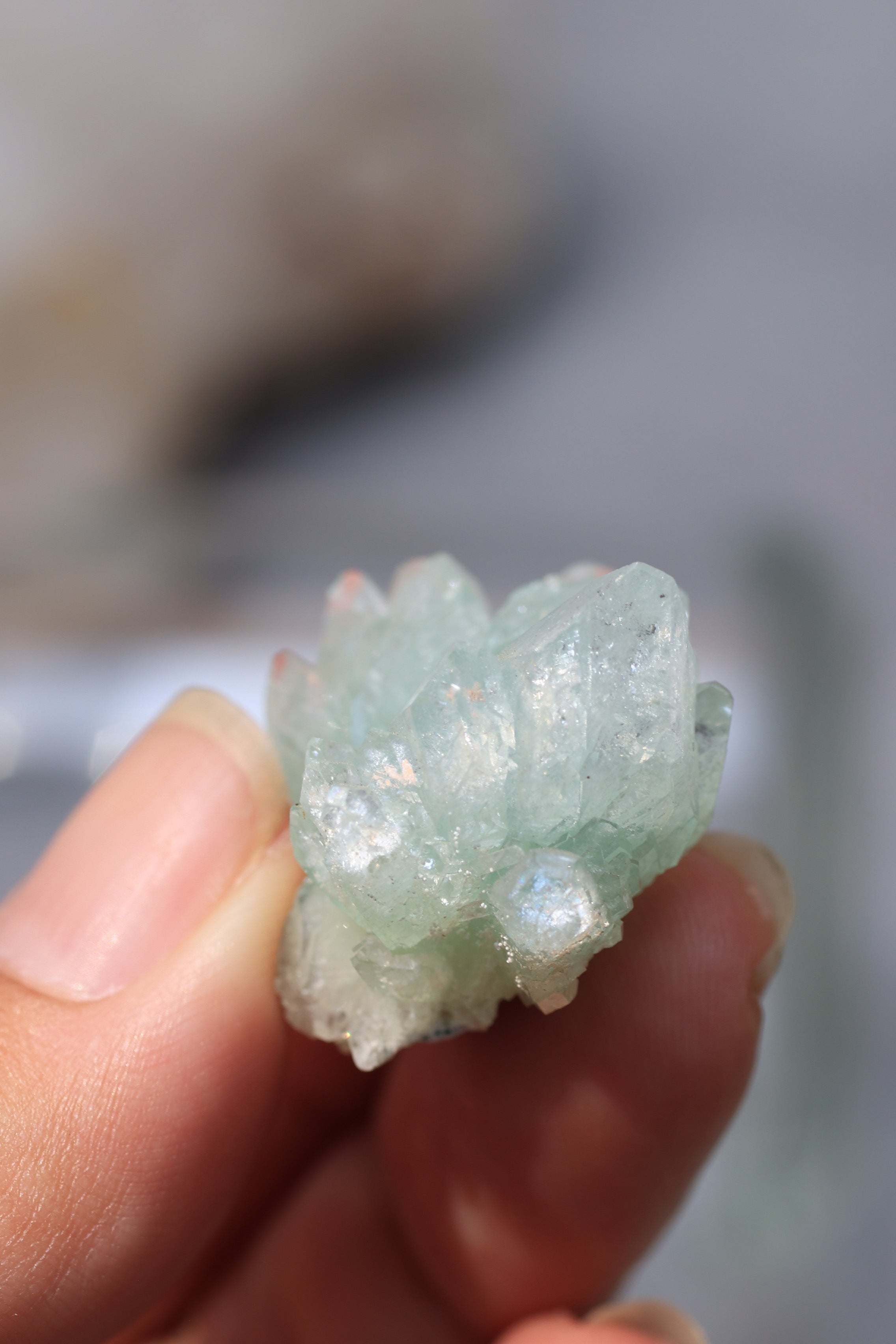 グリーンアポフィライト「春の新芽」インド産｜天然石 原石 鉱物標本