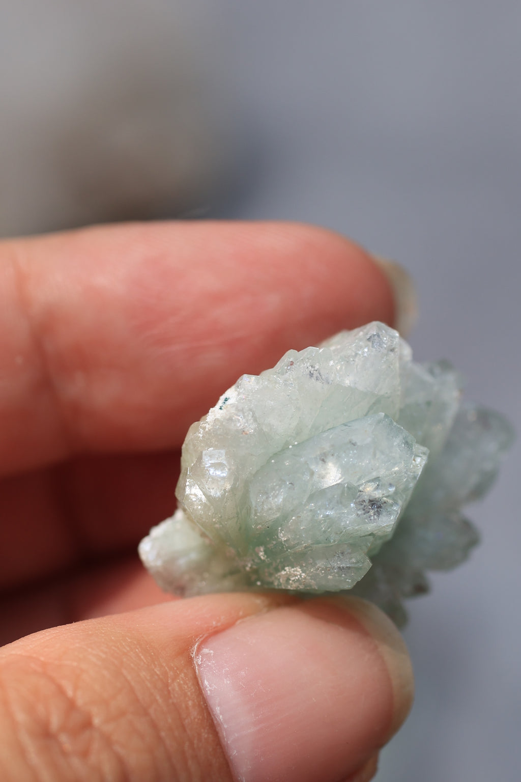 グリーンアポフィライト「春の新芽」インド産｜天然石 原石 鉱物標本