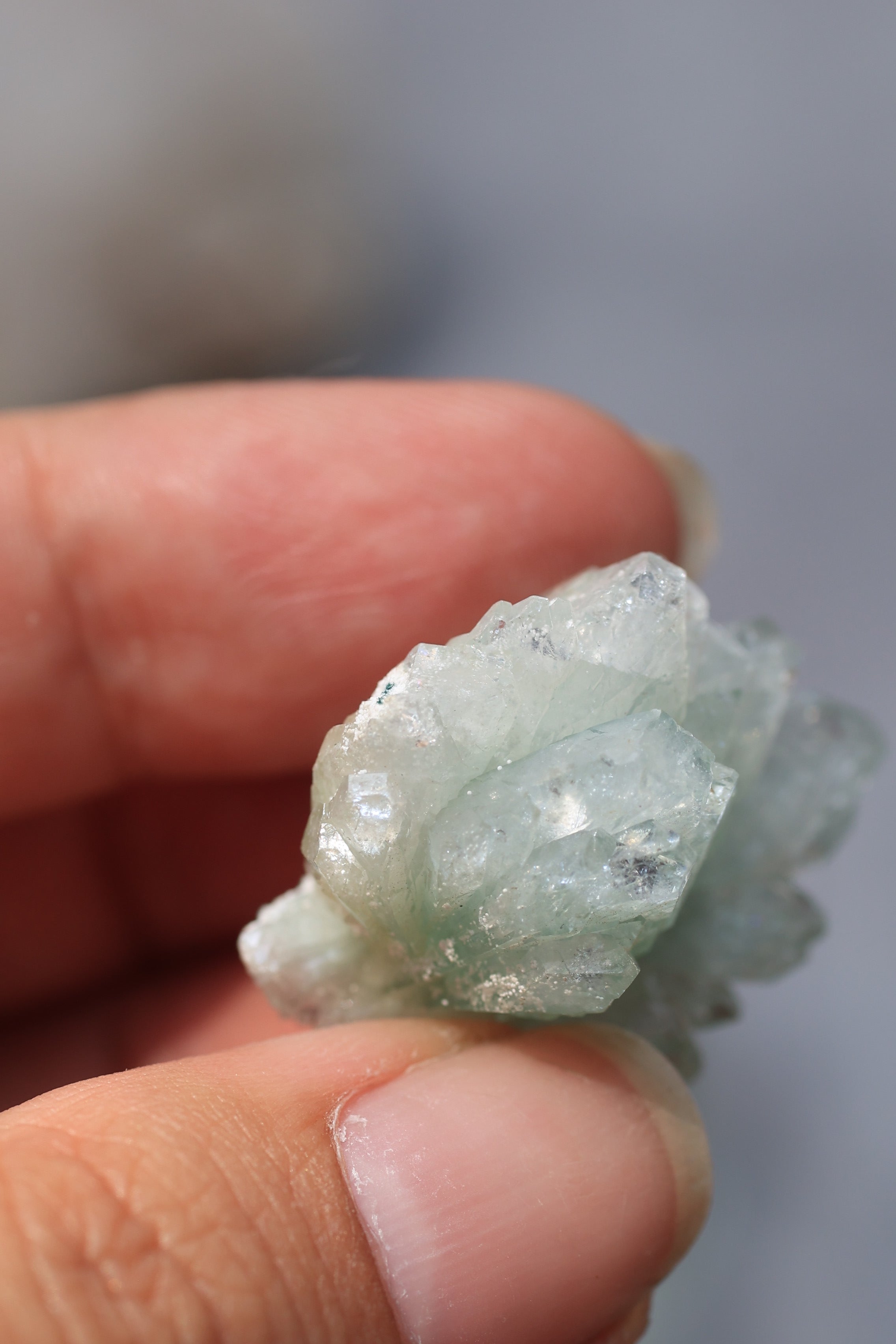 グリーンアポフィライト「春の新芽」インド産｜天然石 原石 鉱物標本