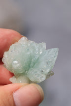 グリーンアポフィライト「春の新芽」インド産｜天然石 原石 鉱物標本
