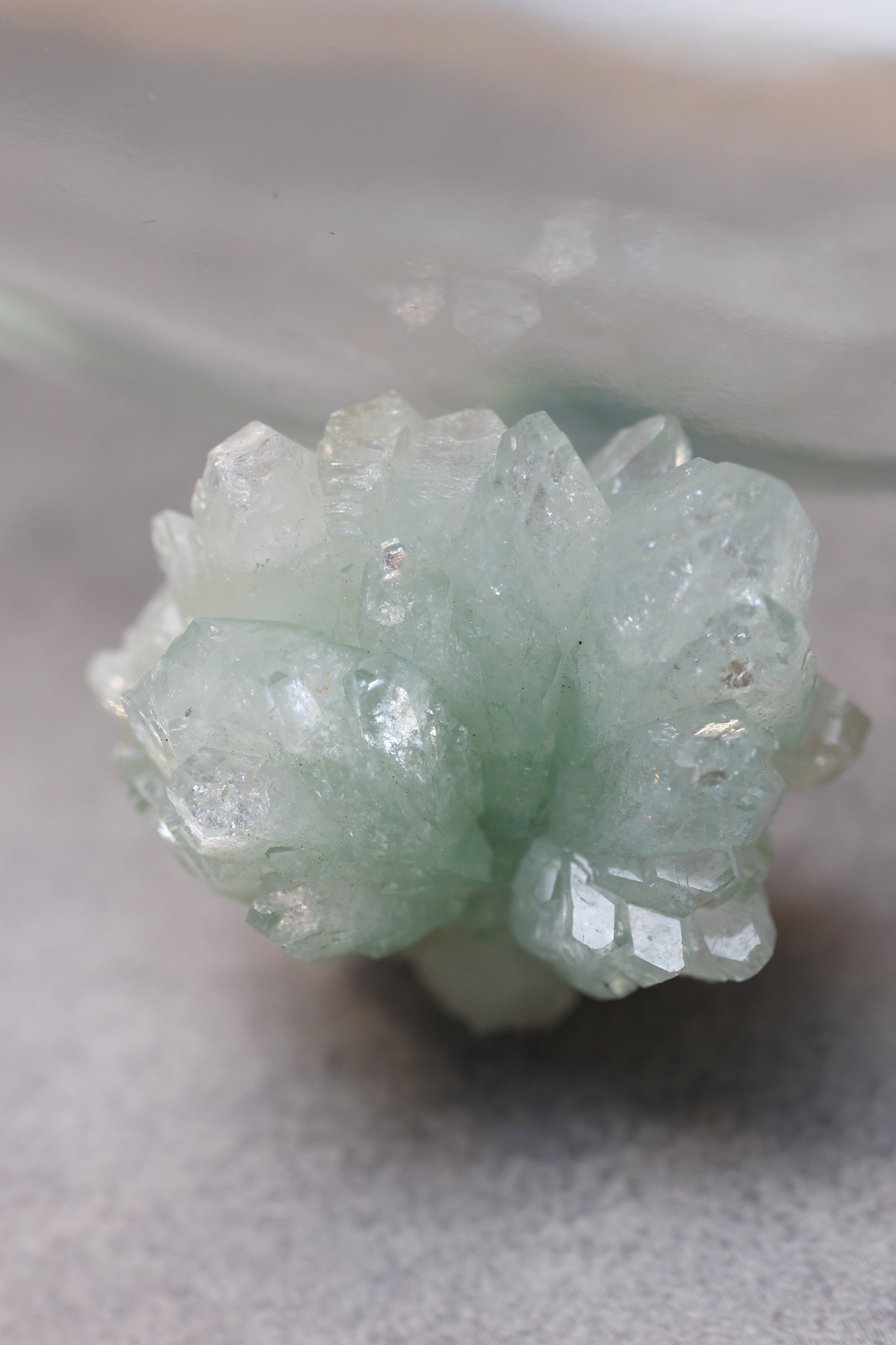 グリーンアポフィライト「春の新芽」インド産｜天然石 原石 鉱物標本