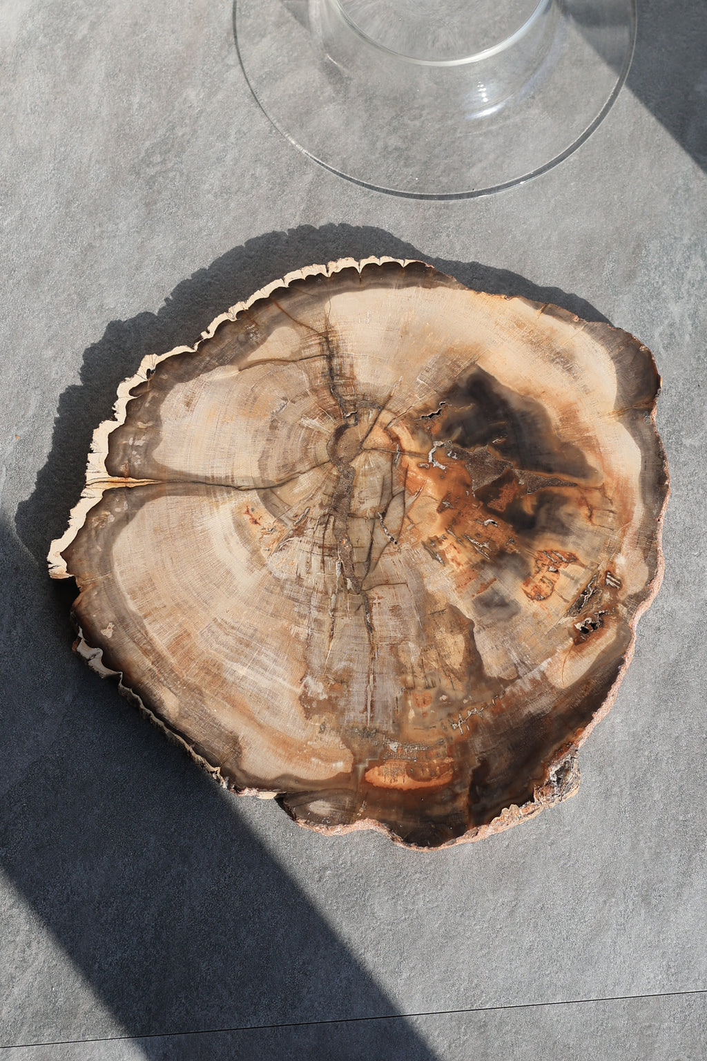 ペトリファイドウッドインドネシア産｜天然石 鉱物標本