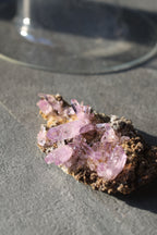 ベラクルスアメジスト「森影の紫光」メキシコ産｜天然石 原石 鉱物標本