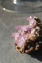ベラクルスアメジスト「森影の紫光」メキシコ産｜天然石 原石 鉱物標本