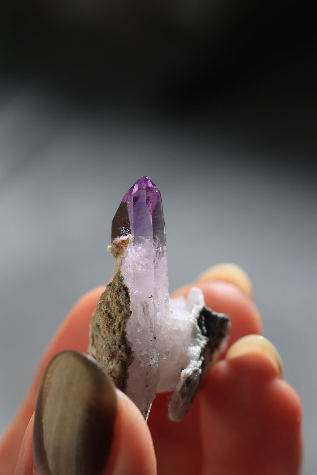 ベラクルスアメジスト「幸せのひと粒」メキシコ産｜天然石 原石 鉱物標本
