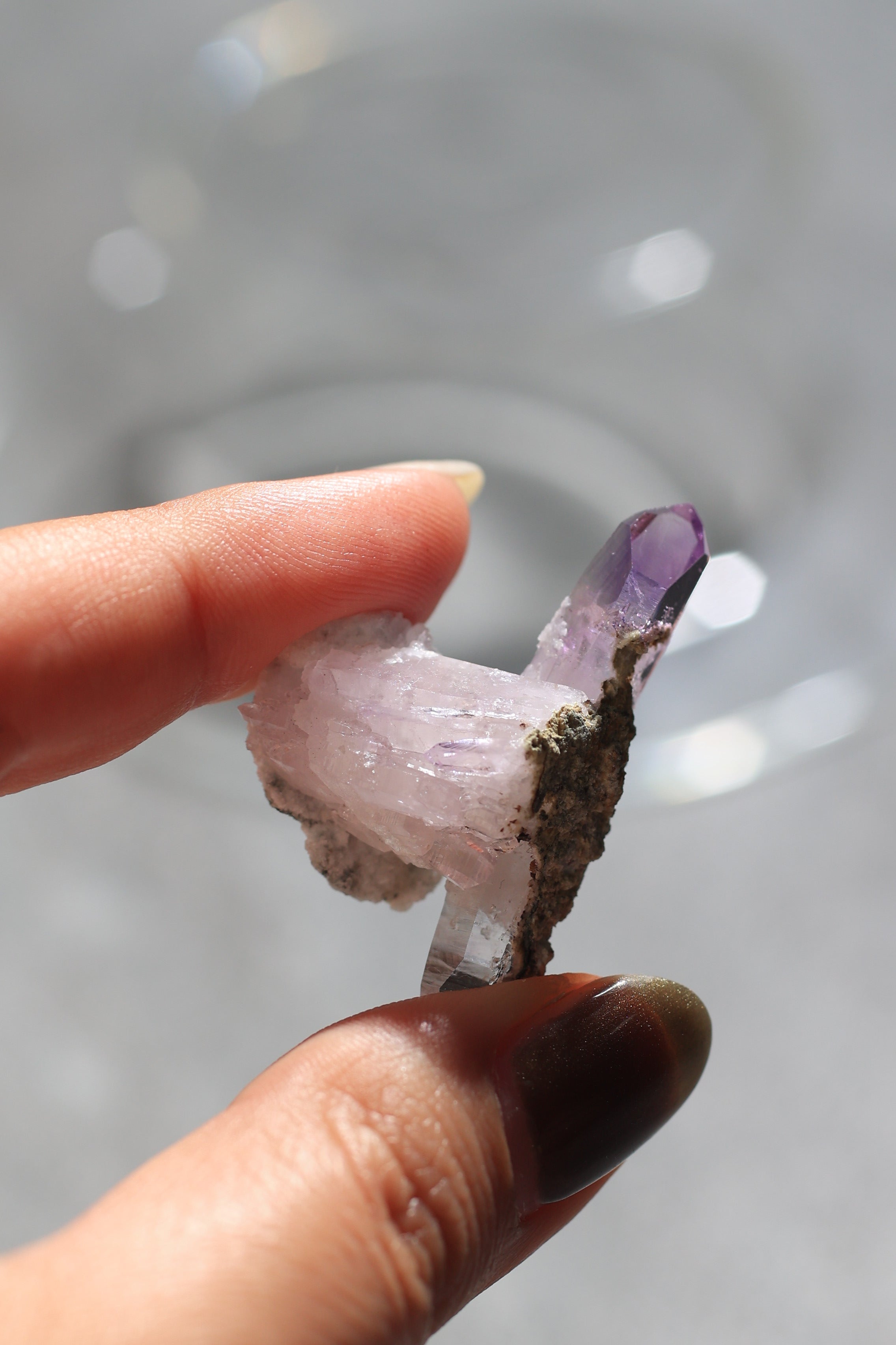 ベラクルスアメジスト「幸せのひと粒」メキシコ産｜天然石 原石 鉱物標本