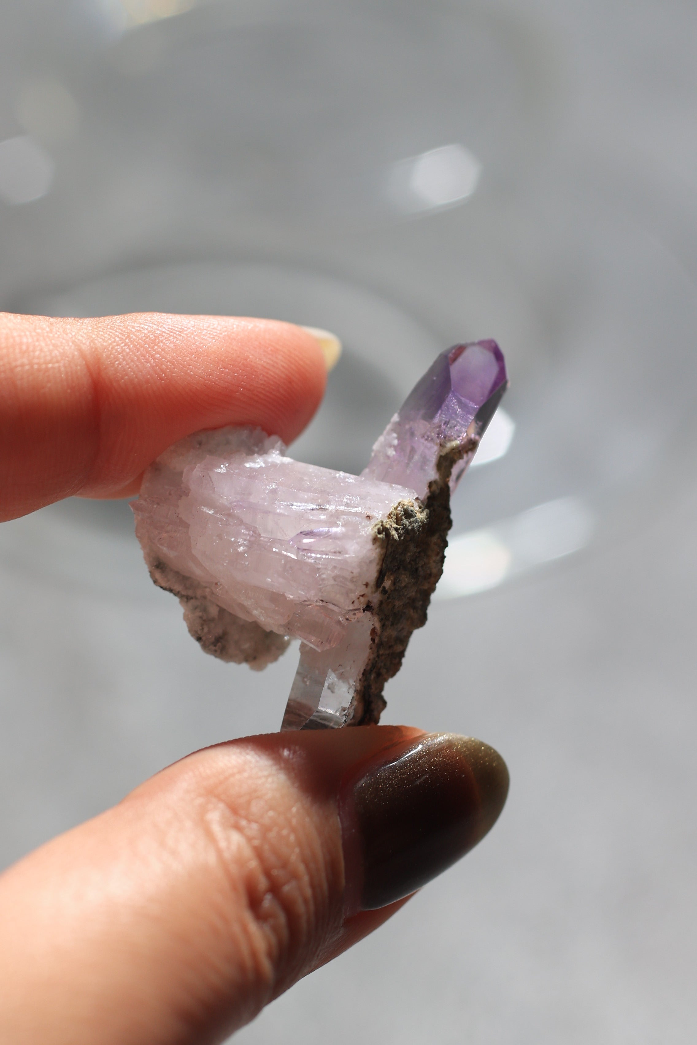 ベラクルスアメジスト「幸せのひと粒」メキシコ産｜天然石 原石 鉱物標本