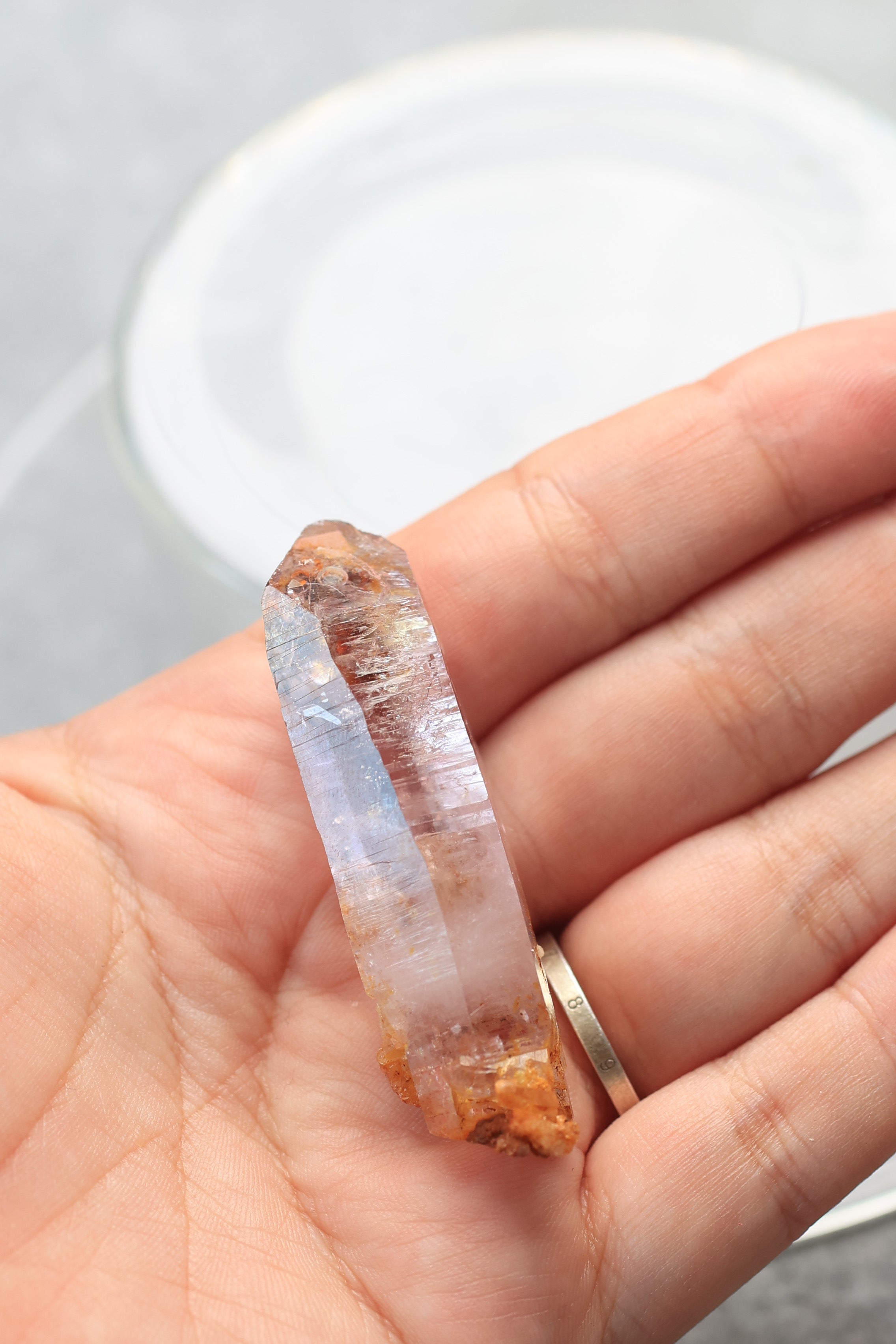 エンハイドロ（水入り）ベラクルスアメジスト「森の光」メキシコ産｜天然石 原石 鉱物標本