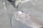 エンハイドロ（水入り）ベラクルスアメジスト「溢れる光」メキシコ産｜天然石 原石 鉱物標本