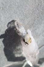エンハイドロ（水入り）ベラクルスアメジスト「溢れる光」メキシコ産｜天然石 原石 鉱物標本