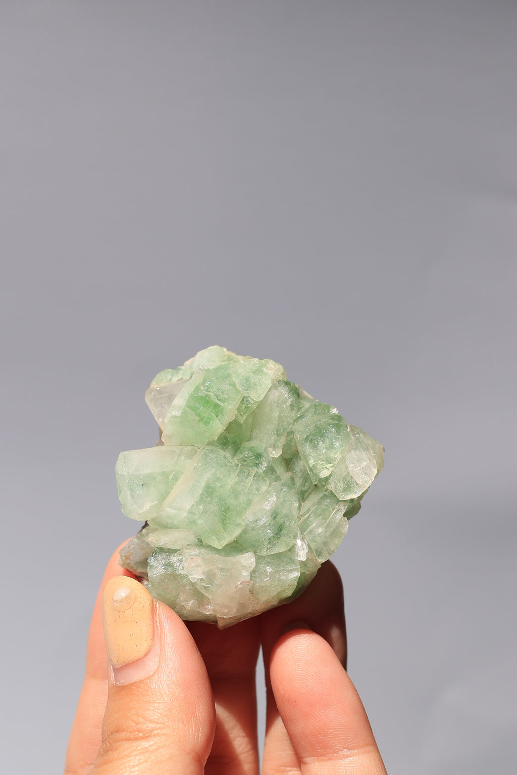 グリーンアポフィライト「初夏の芽」インド産｜天然石 原石 鉱物標本