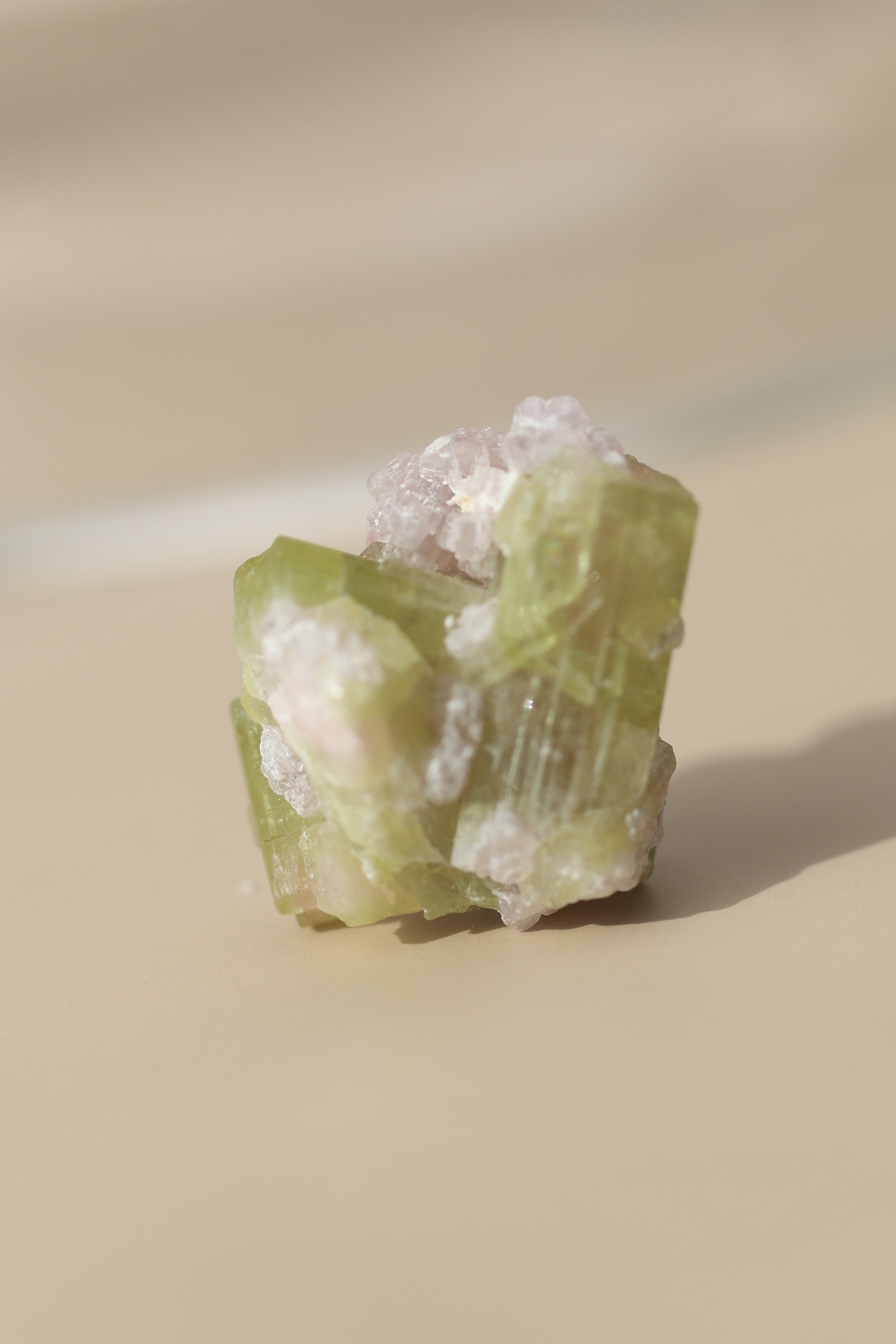 トルマリン「桜の結晶」アフガニスタン産｜天然石 原石 鉱物標本