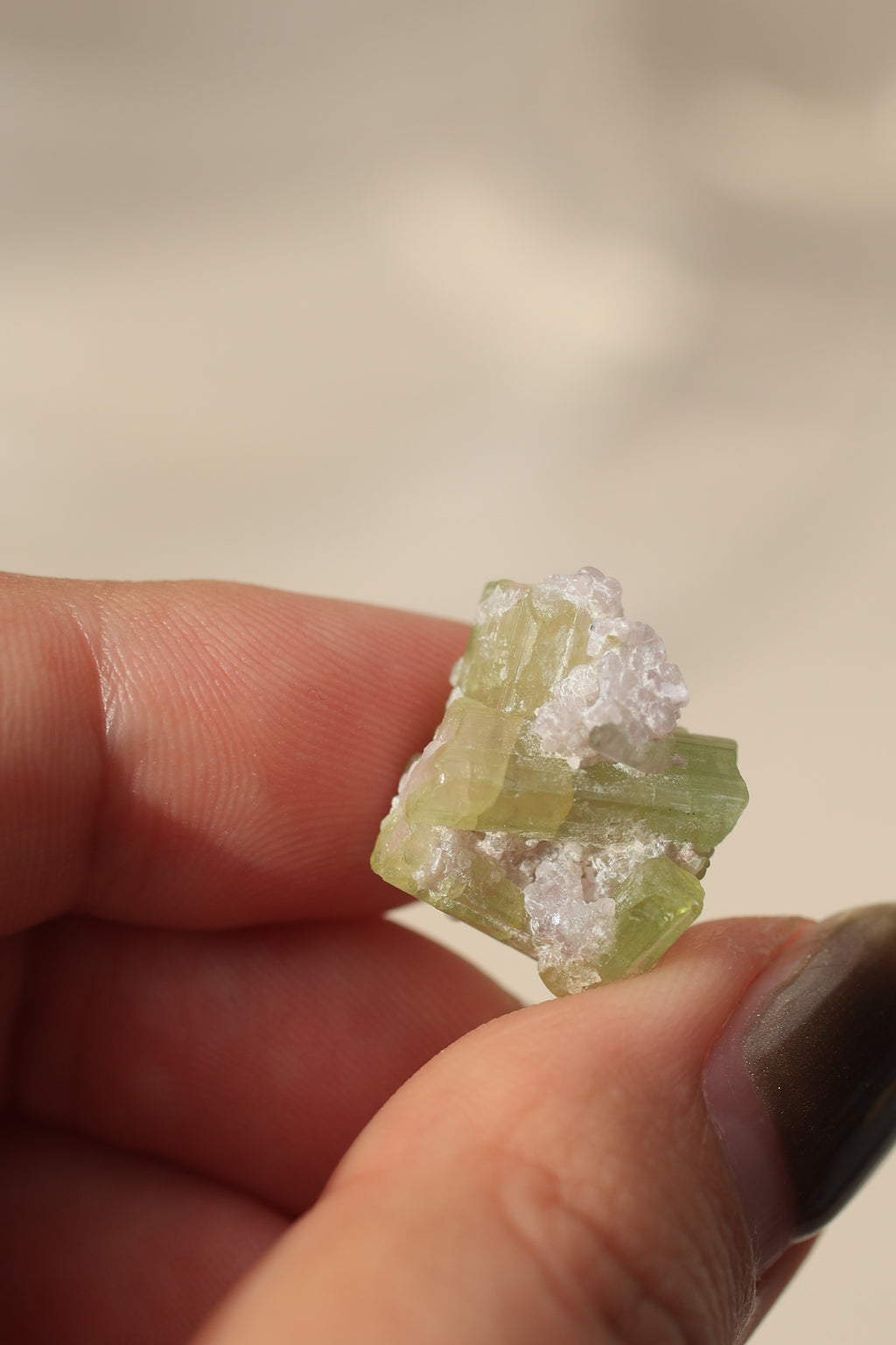 トルマリン「桜の結晶」アフガニスタン産｜天然石 原石 鉱物標本