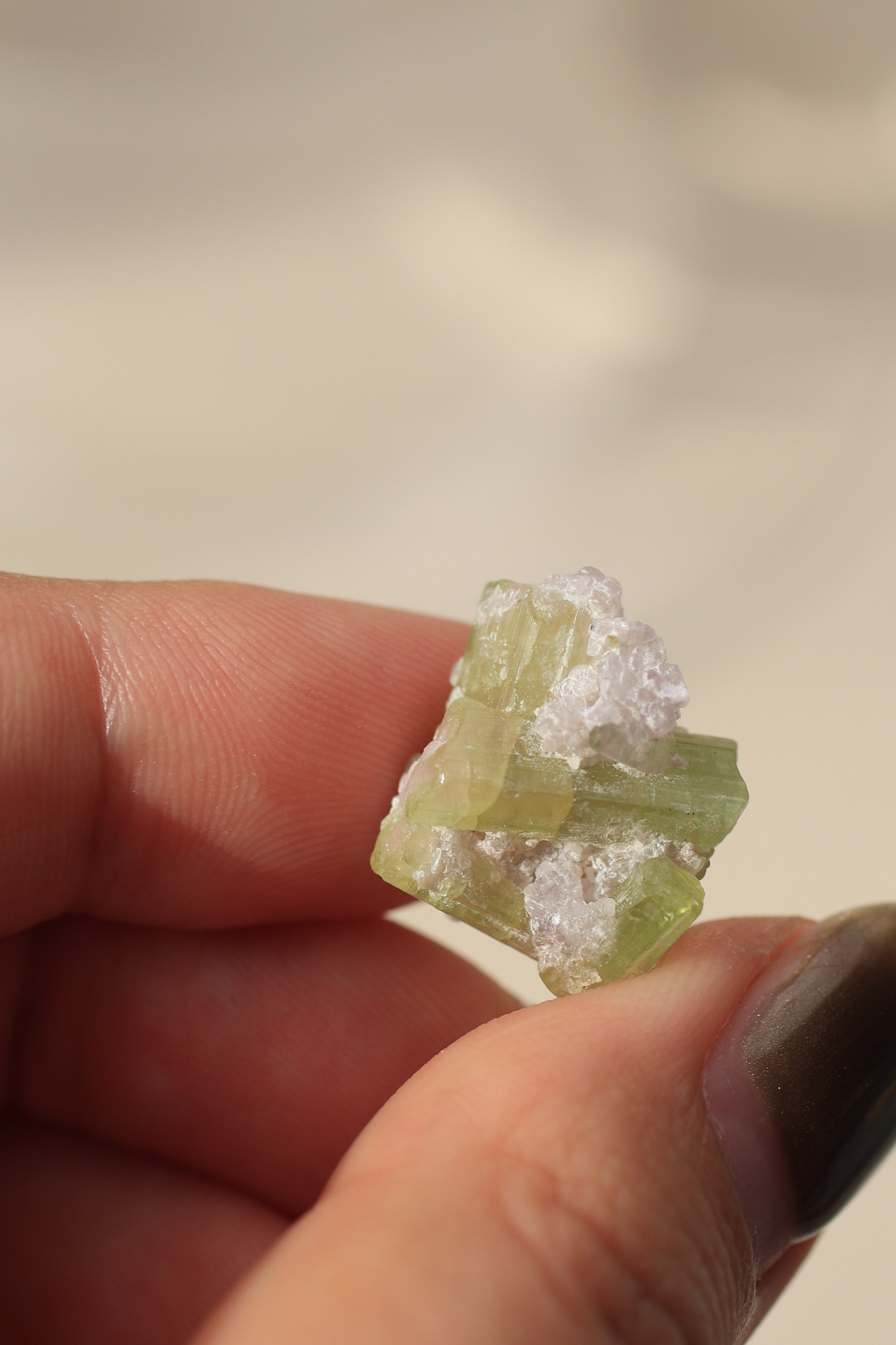トルマリン「桜の結晶」アフガニスタン産｜天然石 原石 鉱物標本