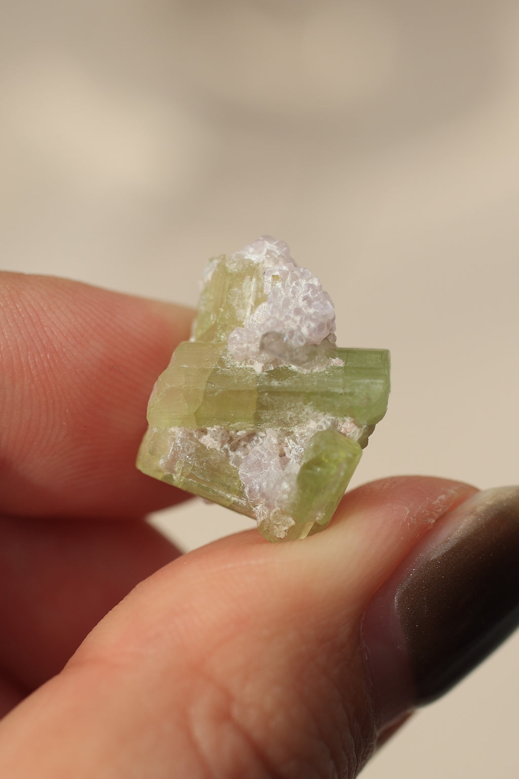 トルマリン「桜の結晶」アフガニスタン産｜天然石 原石 鉱物標本