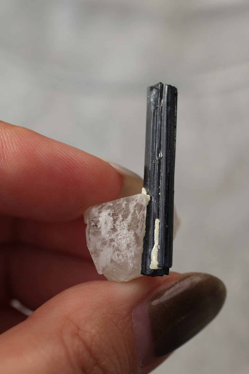 ブラックトルマリン「静寂の風」パキスタン産｜天然石 原石 鉱物標本