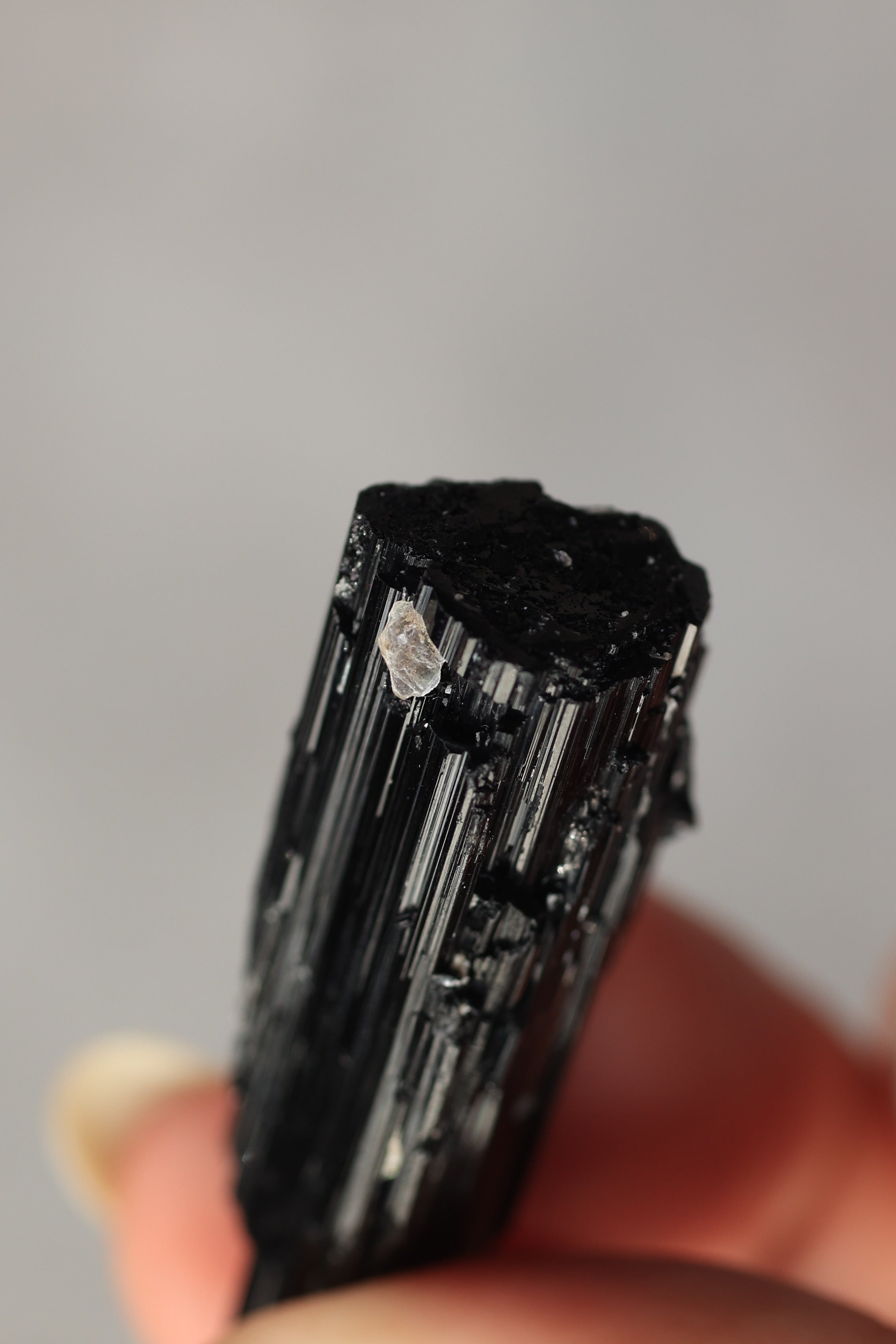 ブラックトルマリン「調和のかけら」パキスタン産｜天然石 原石 鉱物標本