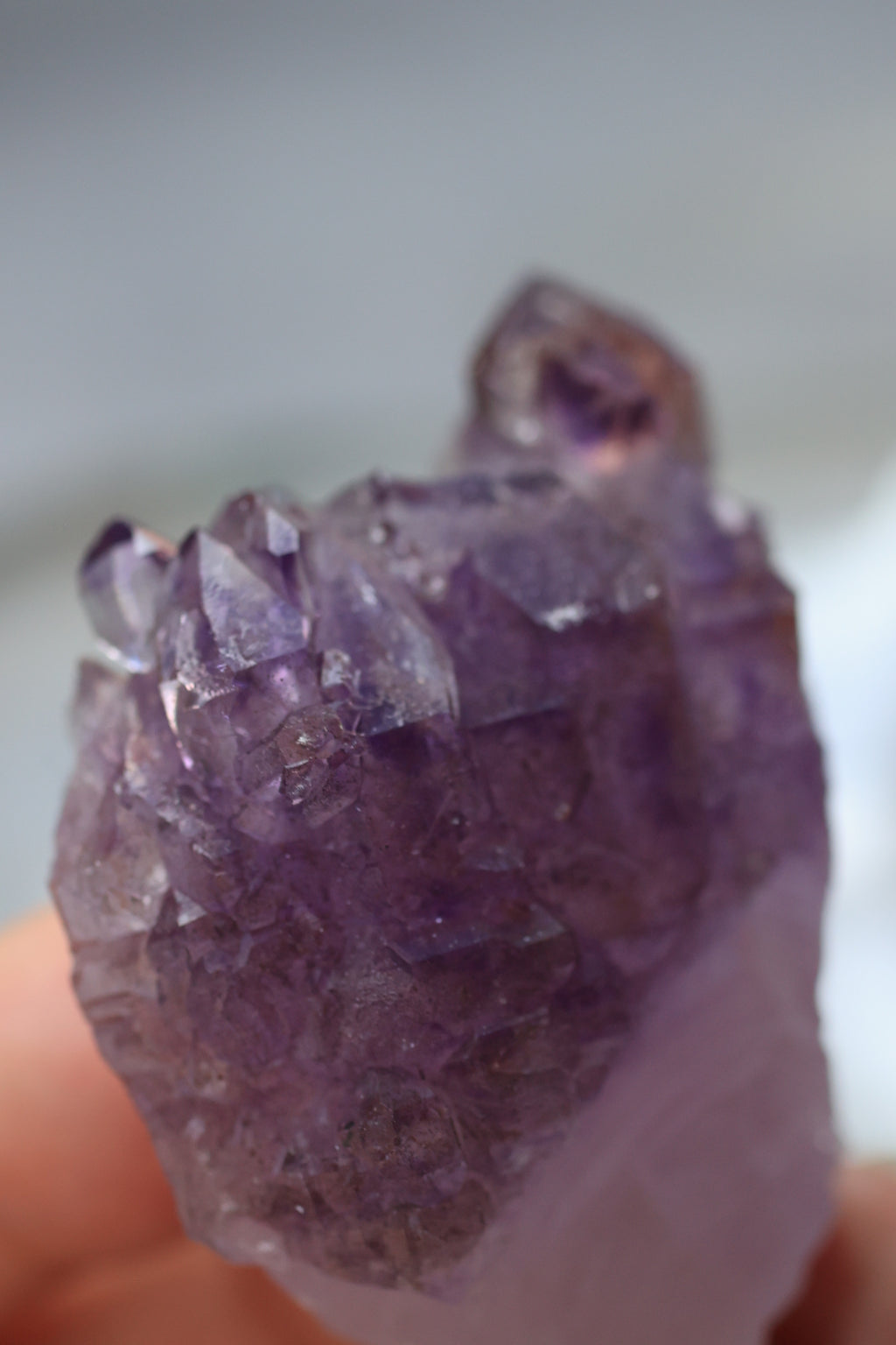 カルールアメジスト「一輪の花」インド産｜天然石 原石 鉱物標本