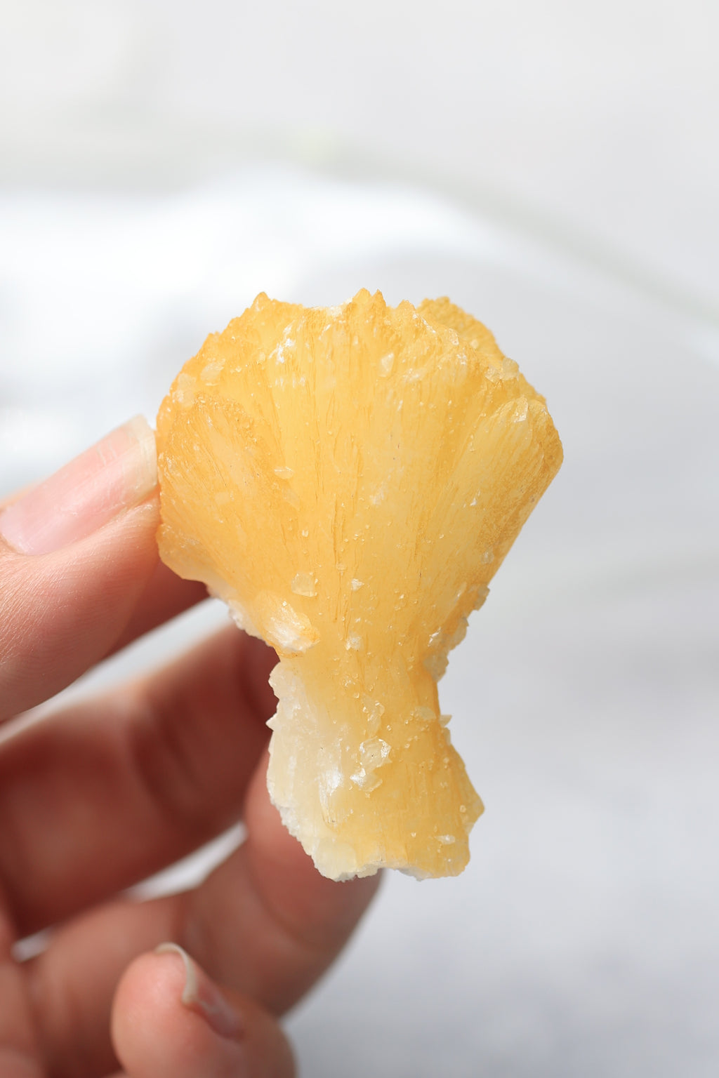 イエロースティルバイト「思い出の紅葉」インド産｜天然石 原石 鉱物標本