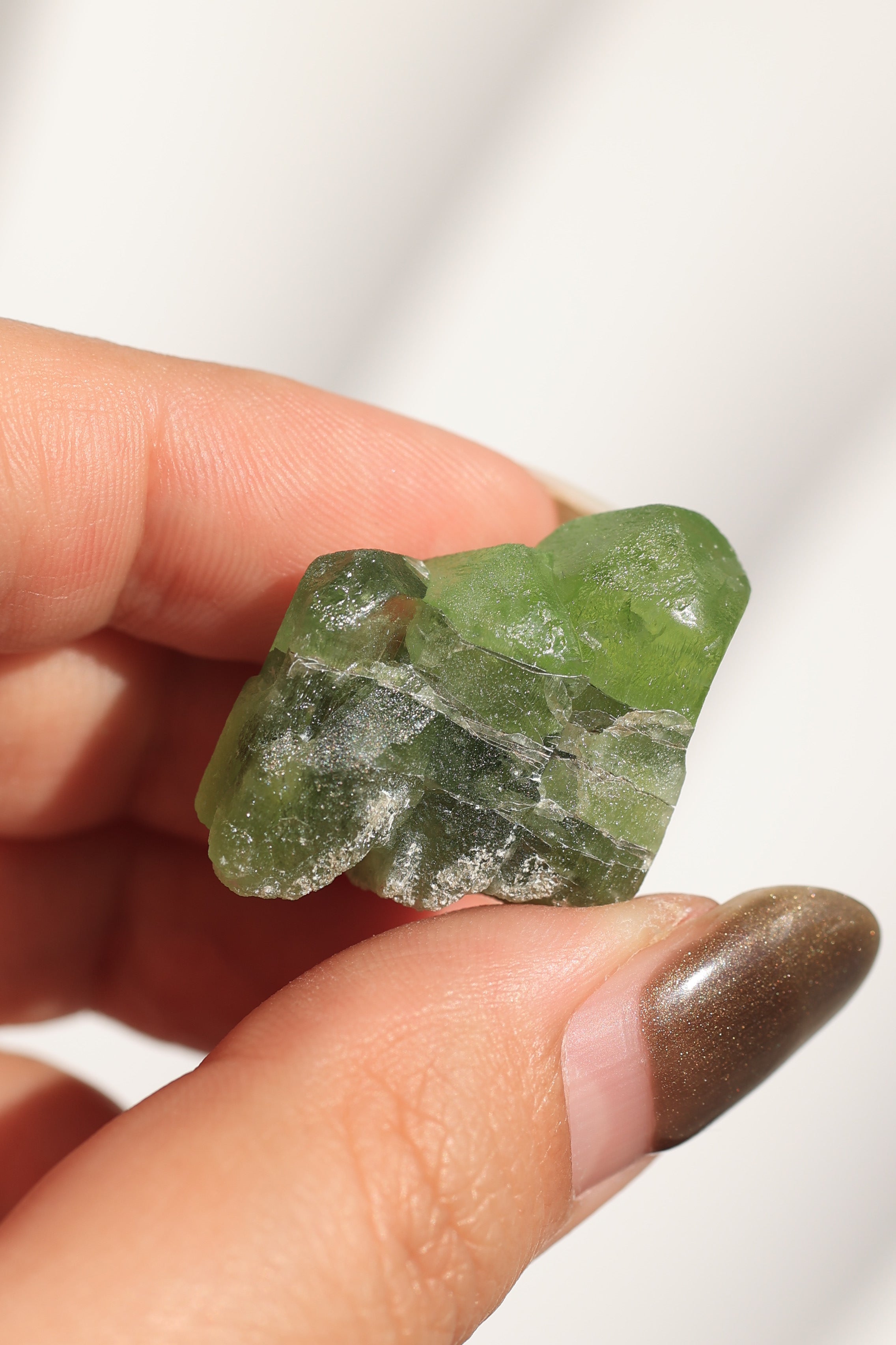 ペリドット「煌めく緑」パキスタン産｜天然石 原石 鉱物標本