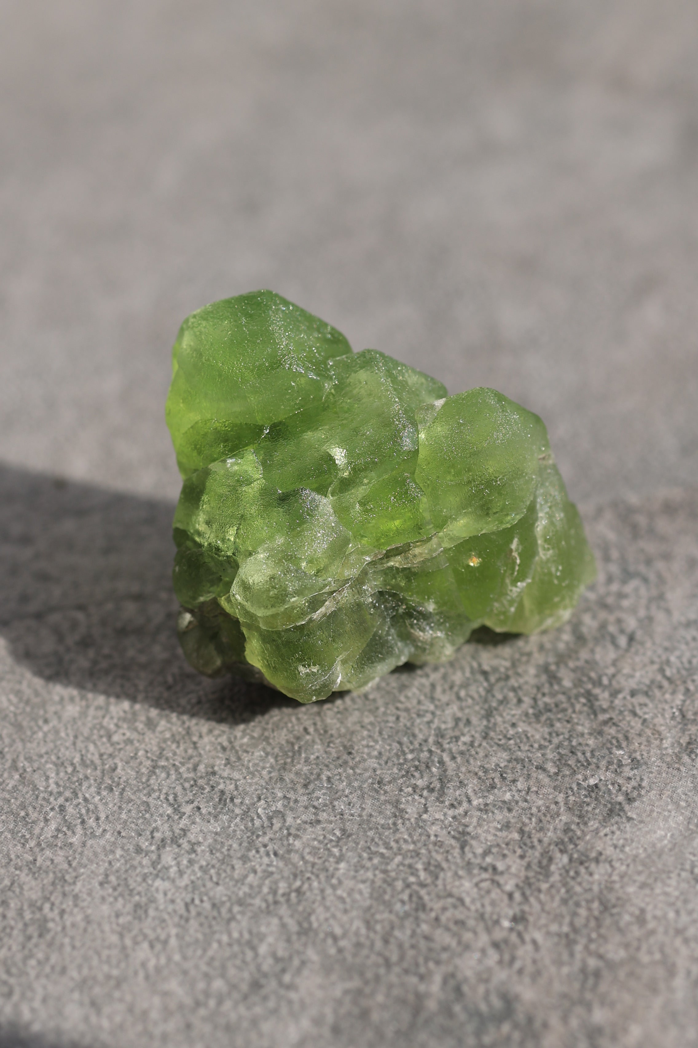 ペリドット「煌めく緑」パキスタン産｜天然石 原石 鉱物標本