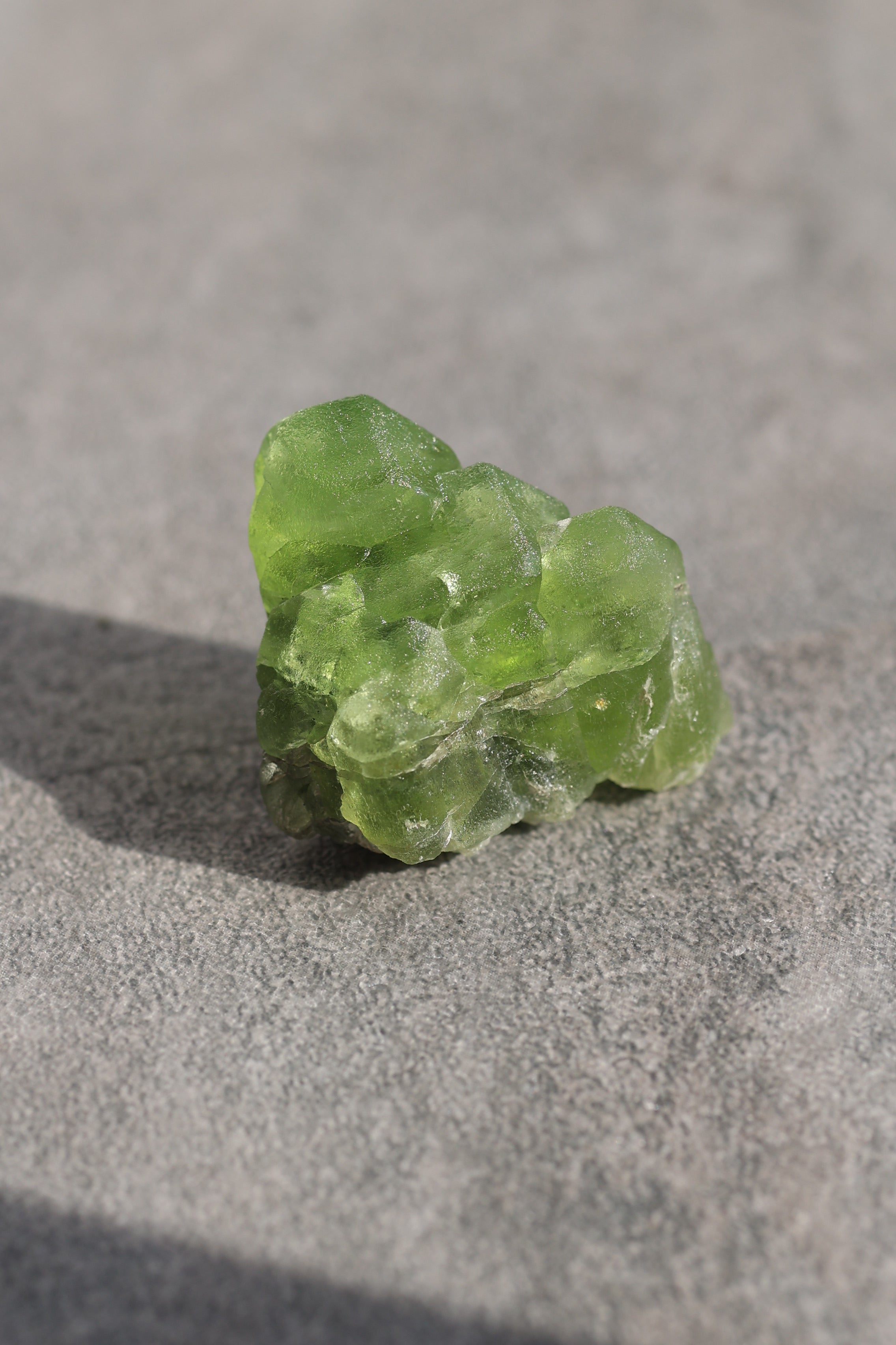 ペリドット「煌めく緑」パキスタン産｜天然石 原石 鉱物標本