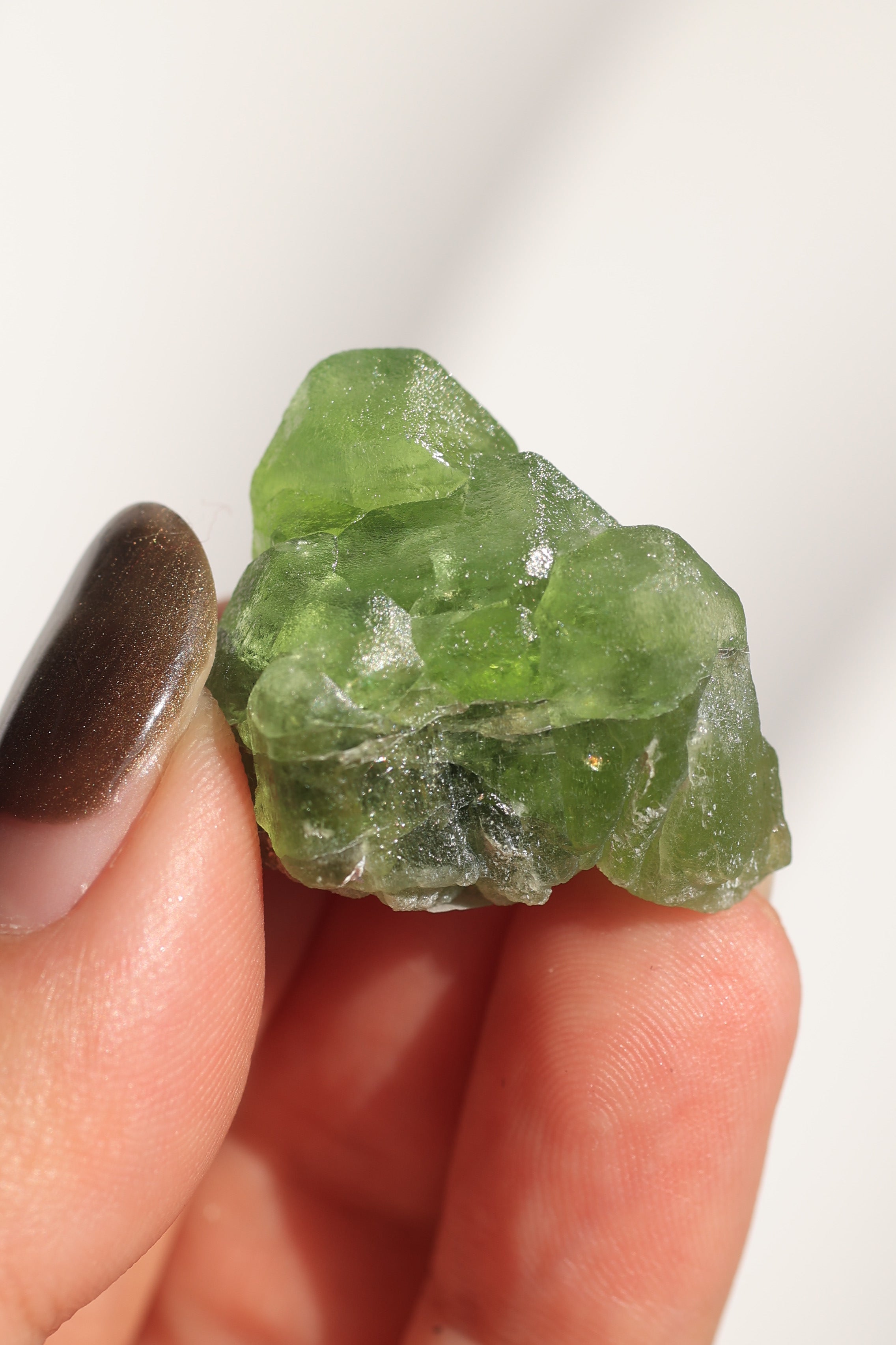 ペリドット「煌めく緑」パキスタン産｜天然石 原石 鉱物標本